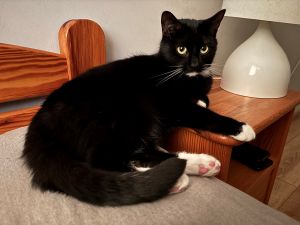 Rick w pełnej okazałości